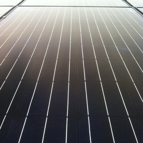 Sunrise 250W panels